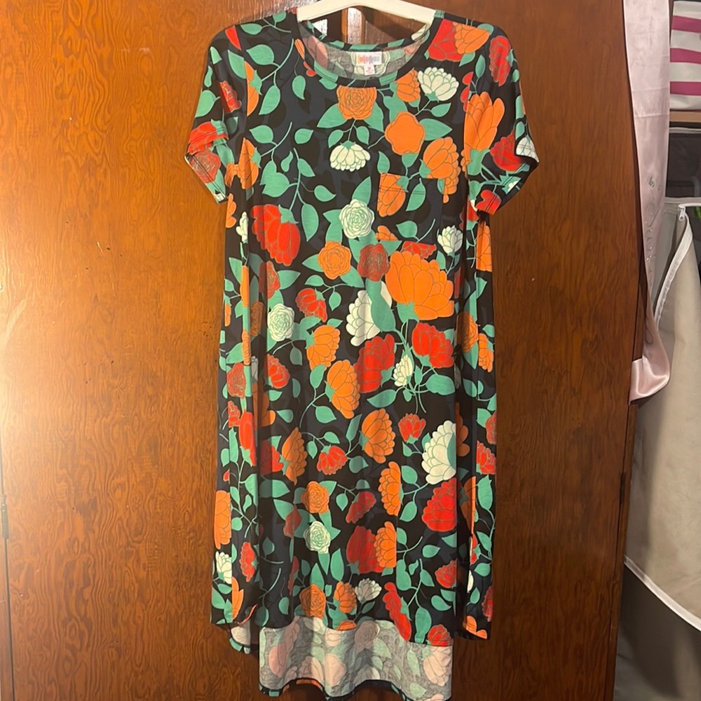 LulaRoe Dress